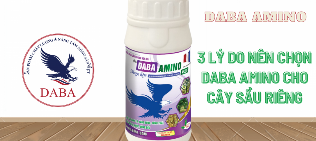 DABA AMINO - 3 lý do nên sử dụng cho cây sầu riêng của bạn.