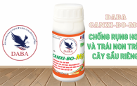 DABA CANXI-BO Mg+- Chống rụng hoa và trái non trên cây sầu riêng